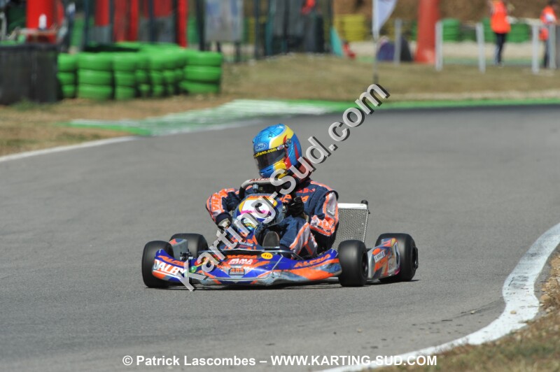 DSC_ (362).JPG